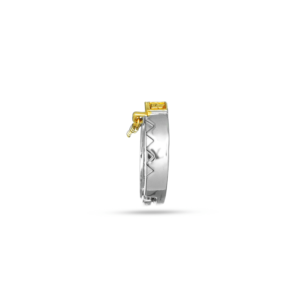 Jotaro Joestar Ring - JoJo's Bizarre Adventure